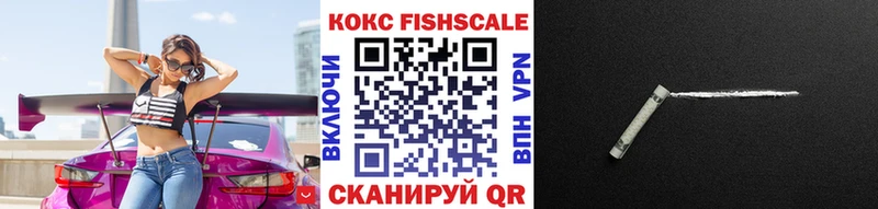 Cocaine FishScale  Суровикино 