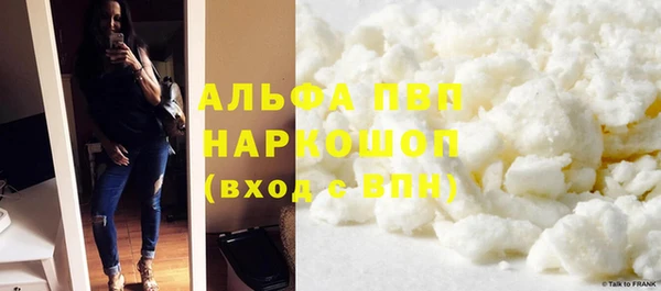 стаф Алзамай