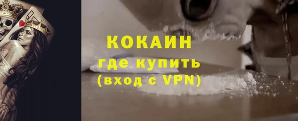 стаф Алзамай