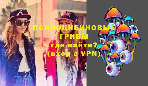 стаф Алзамай