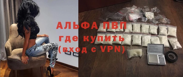 стаф Алзамай