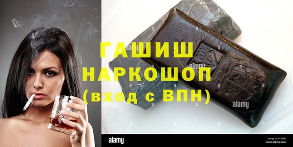 стаф Алзамай