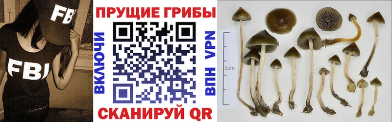 Галлюциногенные грибы Cubensis  kraken ССЫЛКА  Суровикино 